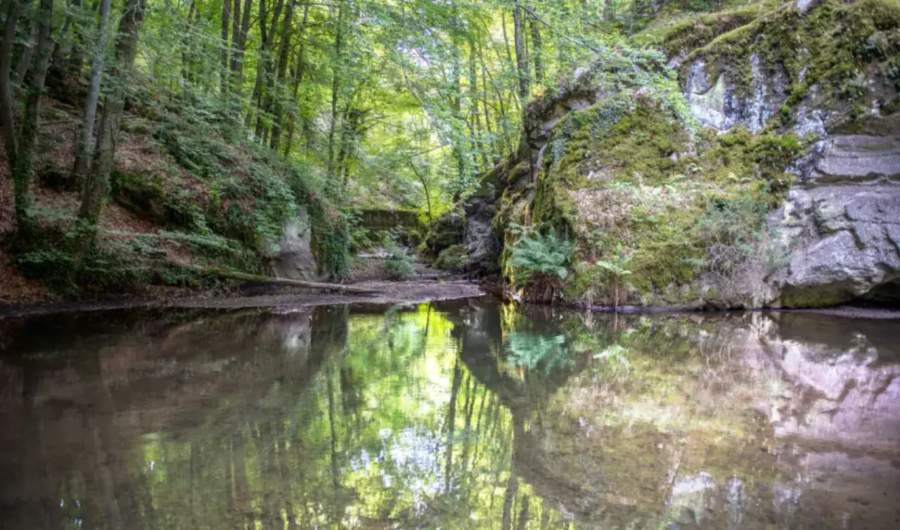 Sentiero nel bosco con torrente e rocce muschiose. Ideale per scoprire cosa fare sul Monte Amiata, tra natura e tranquillit&agrave;.