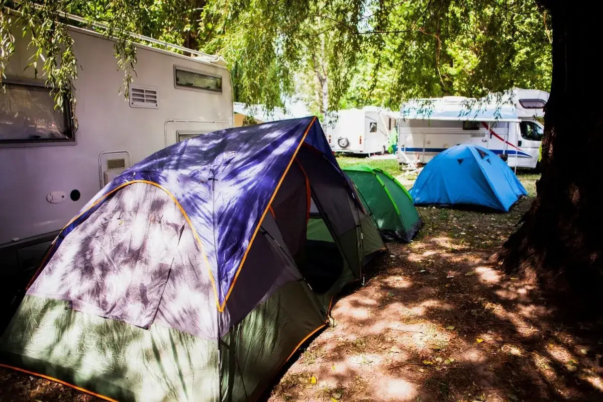 Namioty i kampery na polu namiotowym. Idealne miejsce na camping nad morzem, gdzie można odpocząć wśród zieleni.