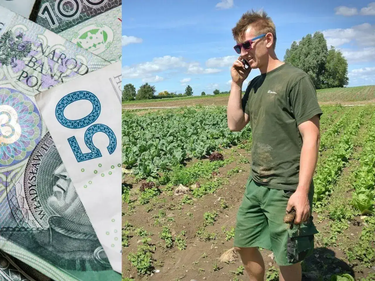 Młody rolnik na polu rozmawia przez telefon, a obok polskie banknoty. To symbol wsparcia i premii dla młodego rolnika.