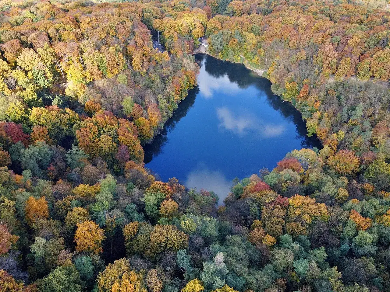 Jesienna puszcza bukowa otacza spokojne jezioro. Liście mienią się odcieniami złota, czerwieni i brązu, tworząc barwny dywan.