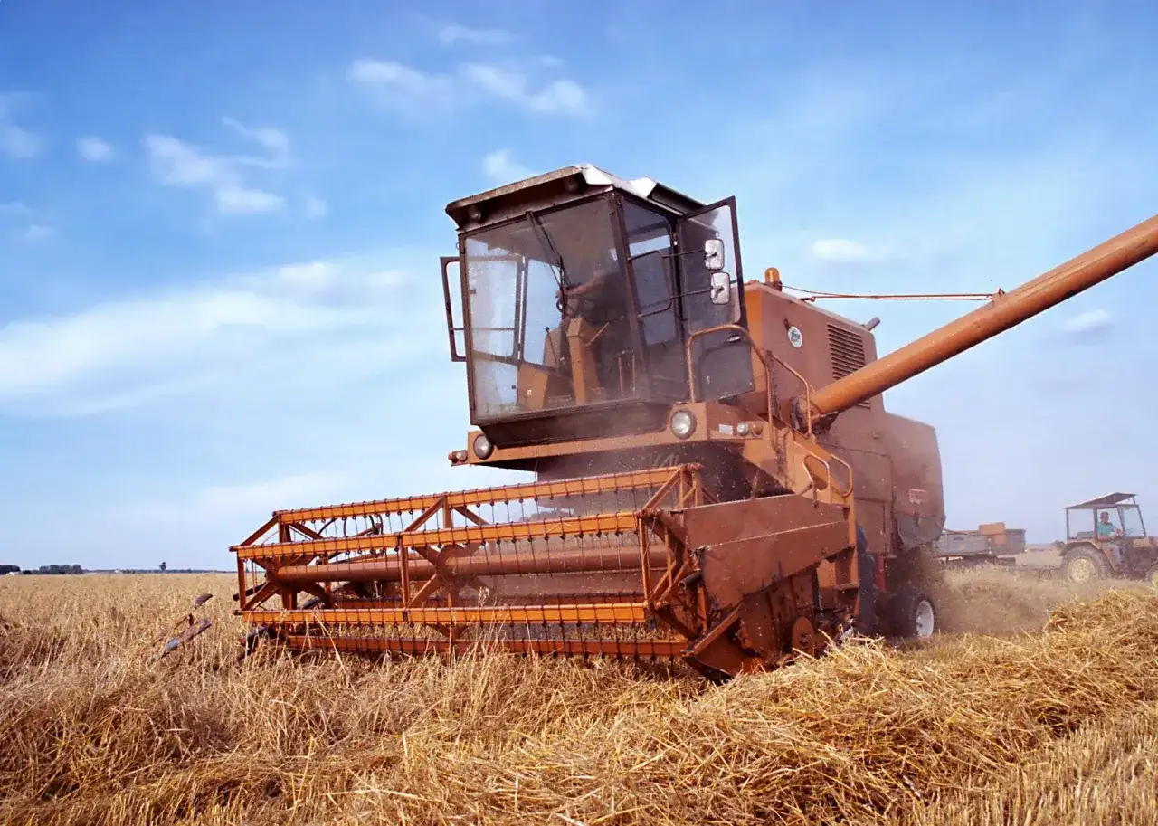Kombajn Bizon pracuje na polu. Jaki olej hydrauliczny do bizona? Maszyna zbiera zboże.