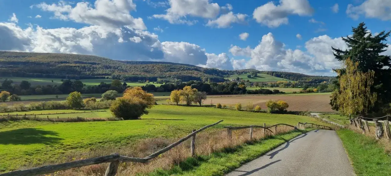 Ein asphaltierter Weg schlängelt sich durch eine grüne Landschaft mit Feldern und Bäumen im Herbstlaub. Der **Emmer Radweg** lädt zu einer entspannten Tour ein.