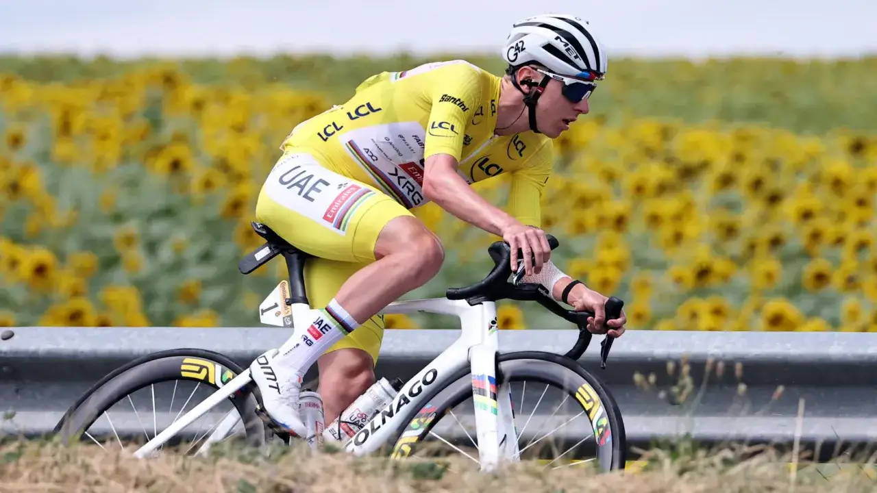 Tadej Pogačar, in his yellow jersey, powers through a sunflower field, his incredible VO2 max evident in his determined focus.