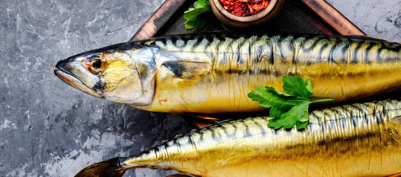 Dwa wędzone makrele, bogate źródło omega 3, leżą na kamiennym tle. Obok miseczka z przyprawami i gałązka pietruszki.