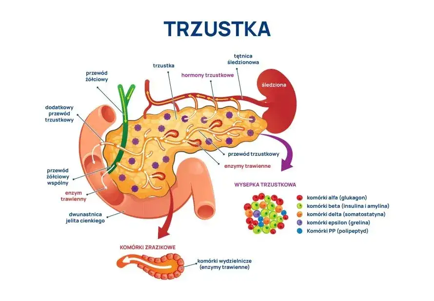 Mapa b&oacute;lu trzustki i promieniowania