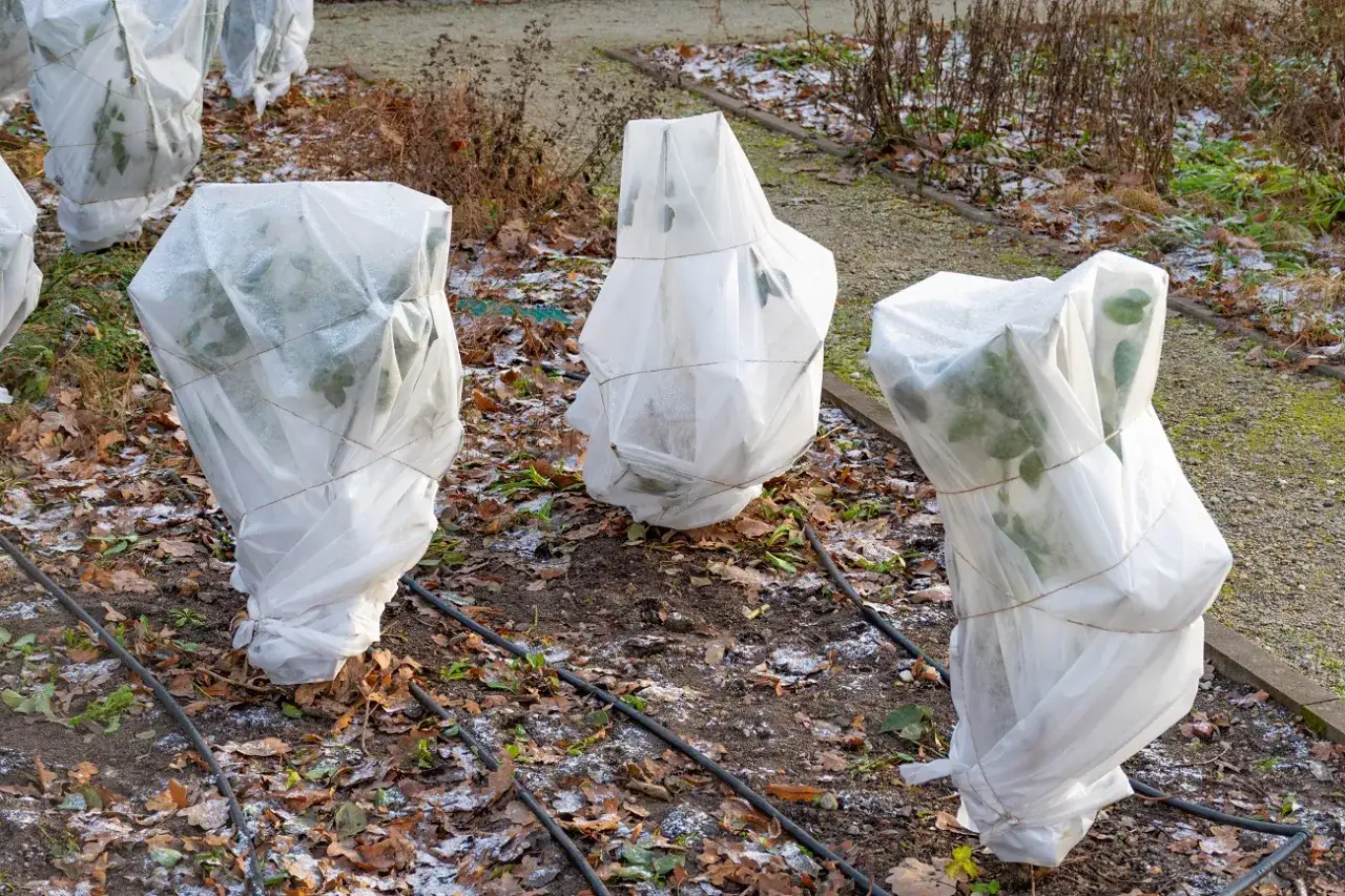 Ogród jesienią przygotowany na zimę