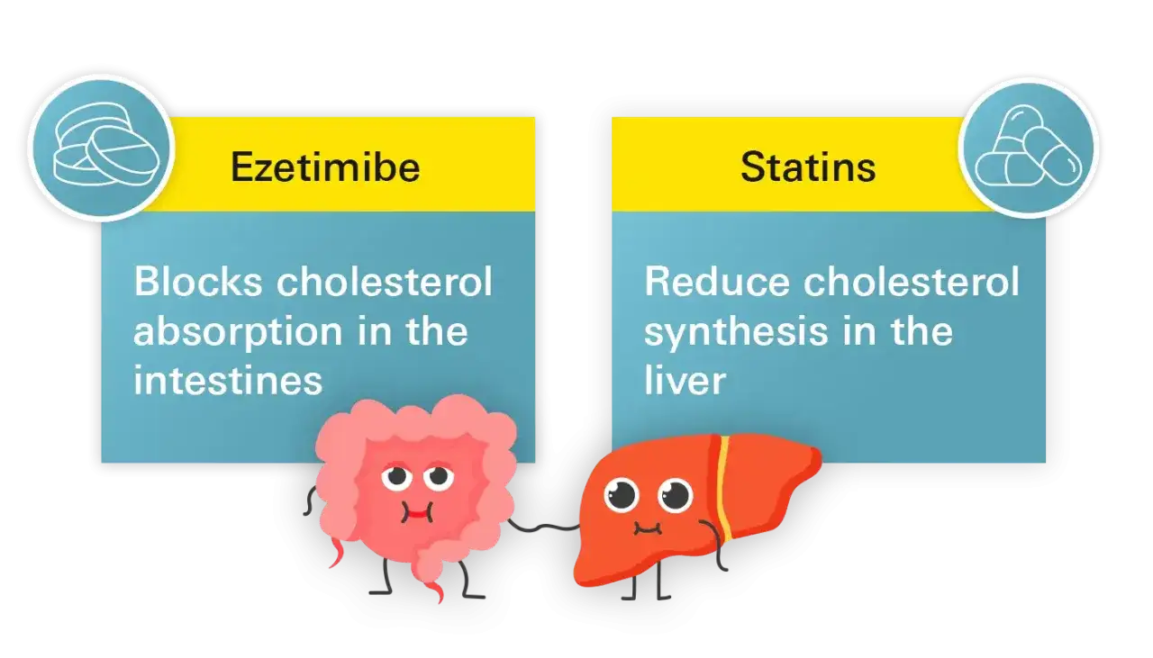 Ezetymib blokuje wchłanianie cholesterolu, a statyny zmniejszają jego produkcję w wątrobie. Razem, jak w suvardio plus, dbają o zdrowe serce.