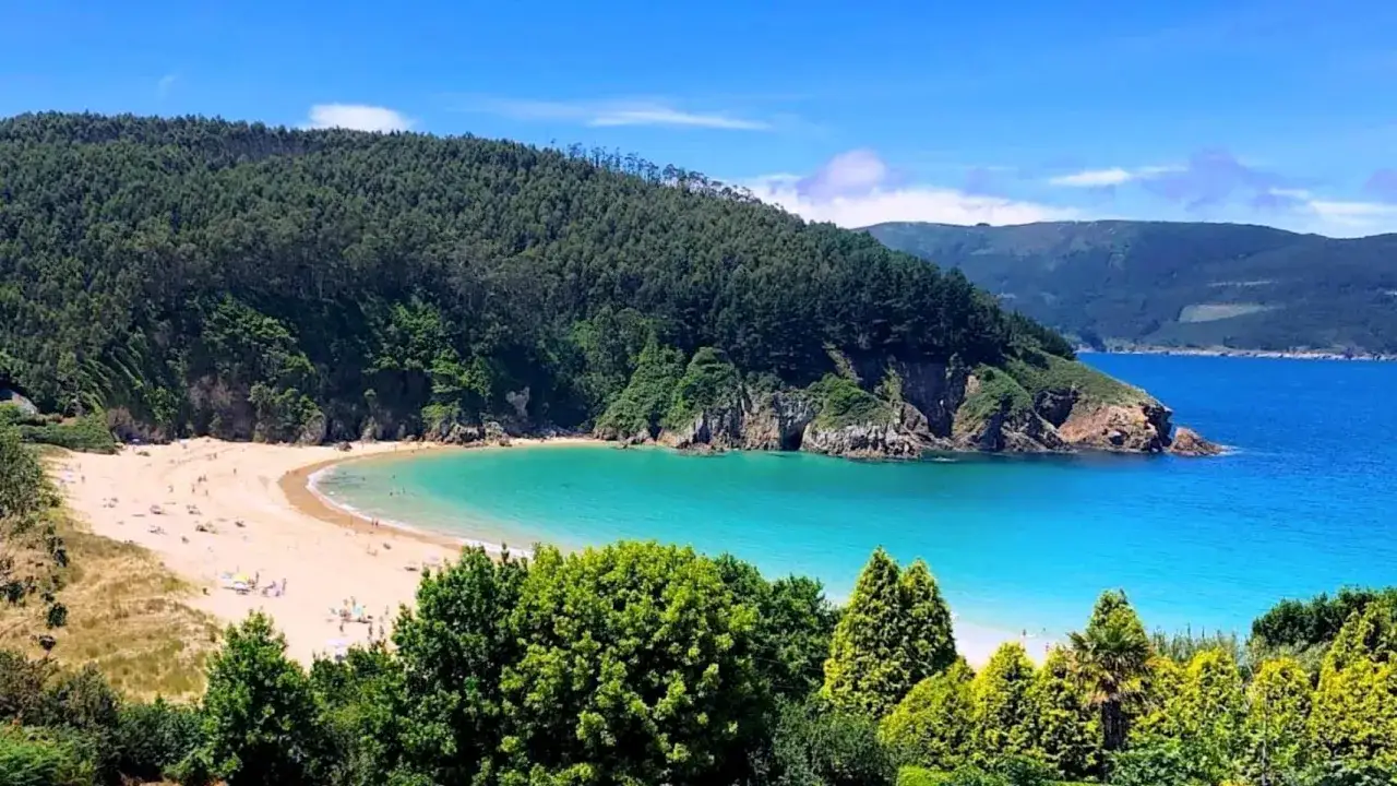 Una cala idílica con arena dorada y aguas turquesas, rodeada de acantilados y un bosque frondoso. Un paraíso en o vicedo playas.
