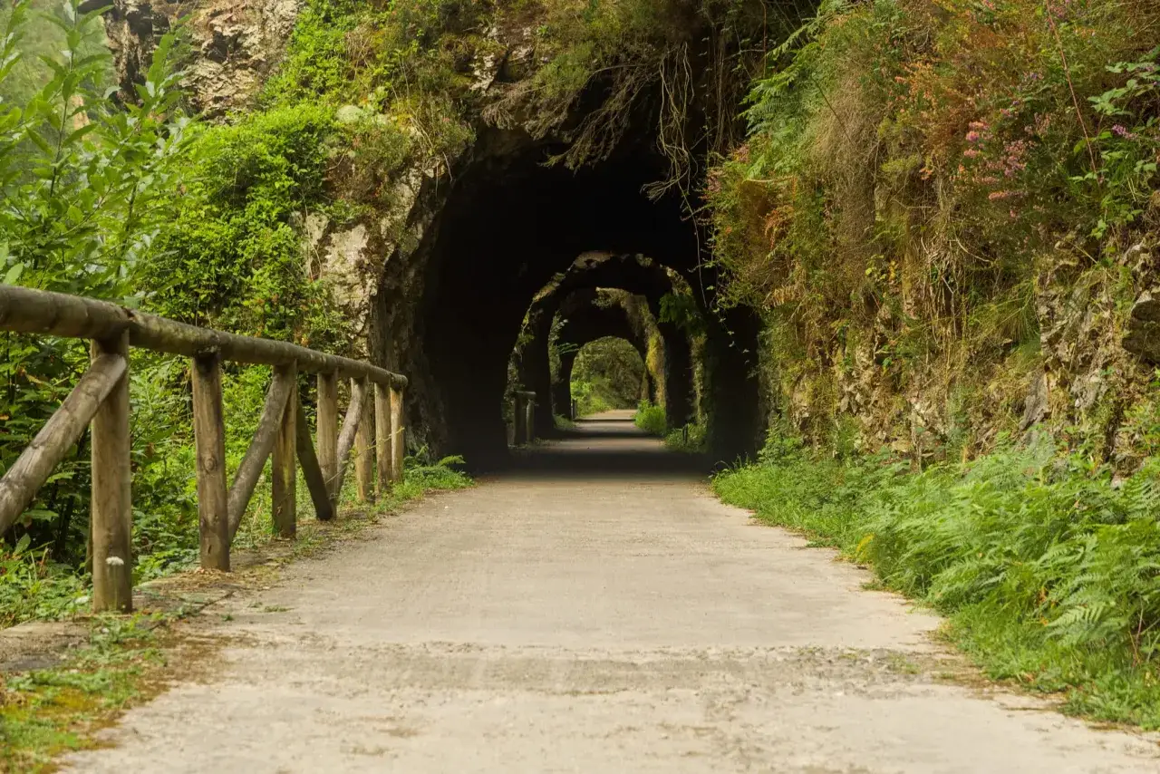 Camino de piedra y vegetación exuberante, la senda del oso se adentra en túneles abovedados, invitando a la aventura.