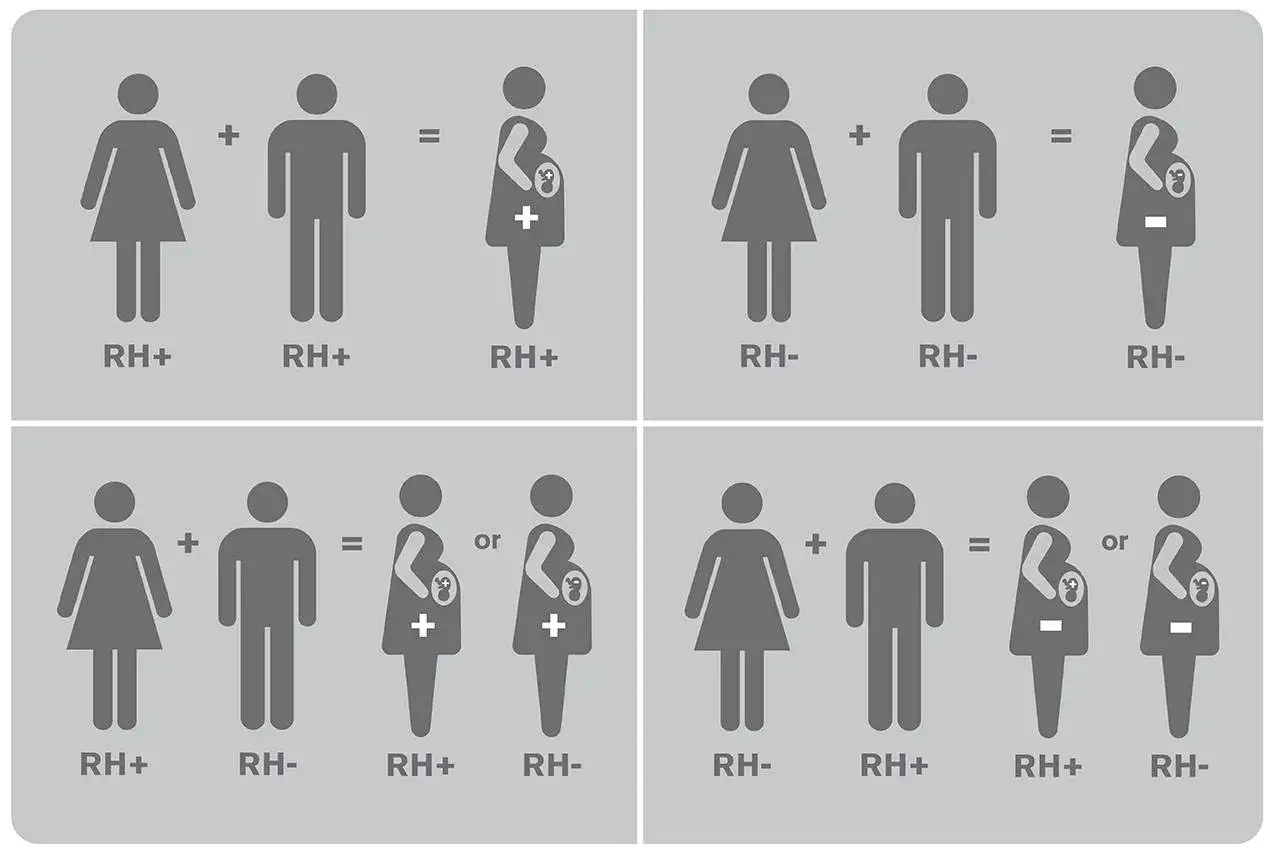 Kiedy matka ma RH- a ojciec RH+, dziecko może mieć RH+ lub RH-. W innych przypadkach nie ma problem&oacute;w z grupami krwi.
