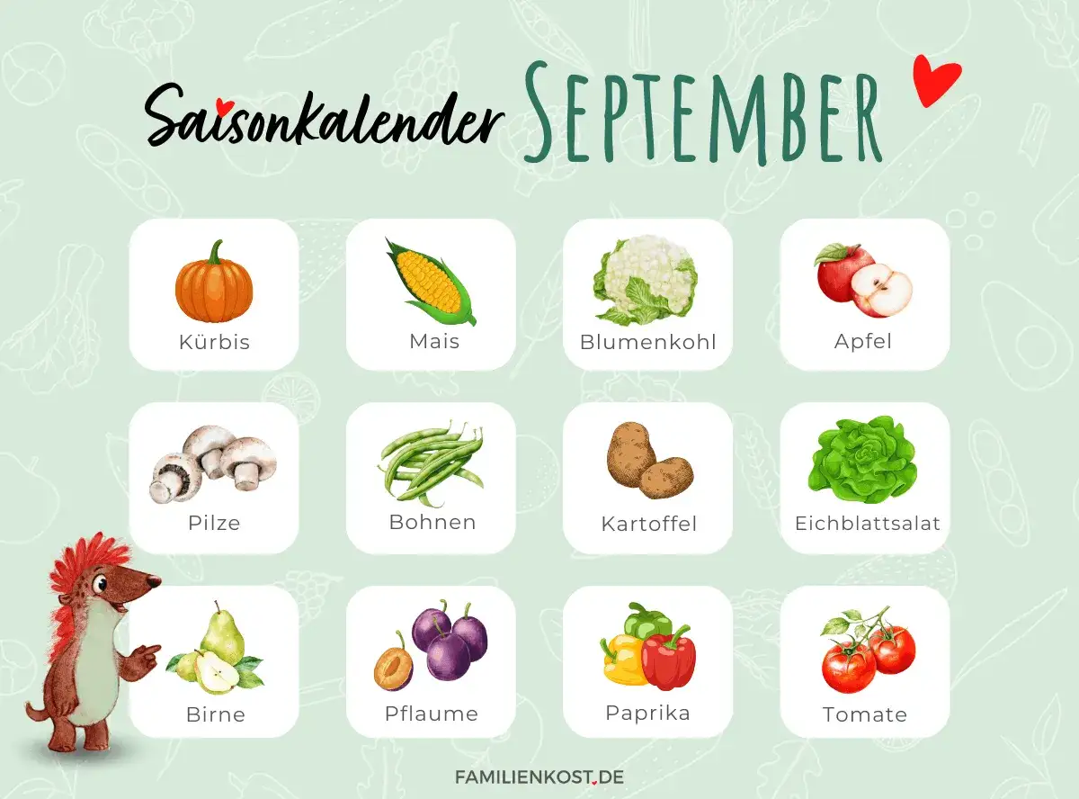 Saisonkalender September: Kürbis, Mais, Blumenkohl, Apfel, Pilze, Bohnen, Kartoffel, Eichblattsalat, Birne, Pflaume, Paprika, Tomate.