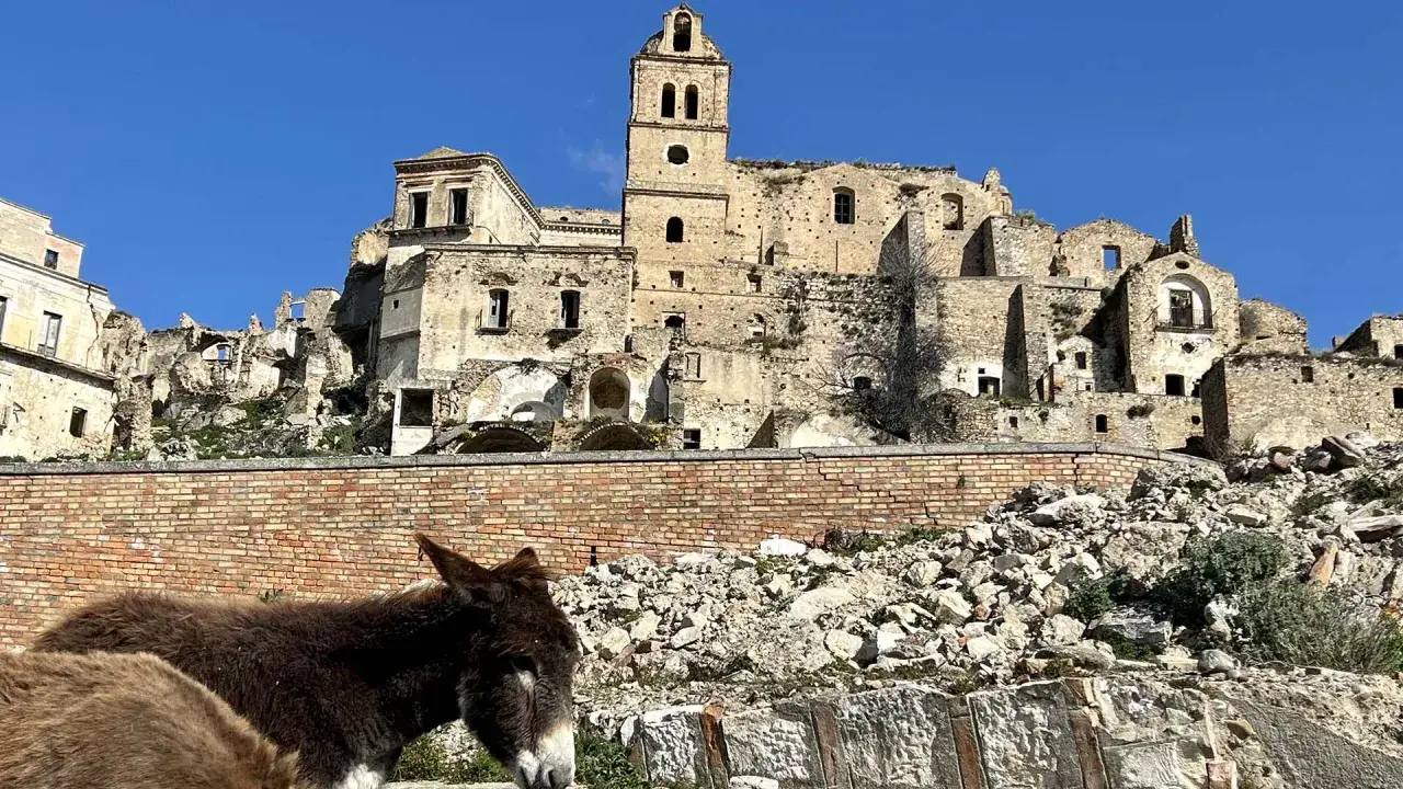 Un asino guarda verso le rovine di Craco Vecchia, un borgo fantasma con un campanile imponente.