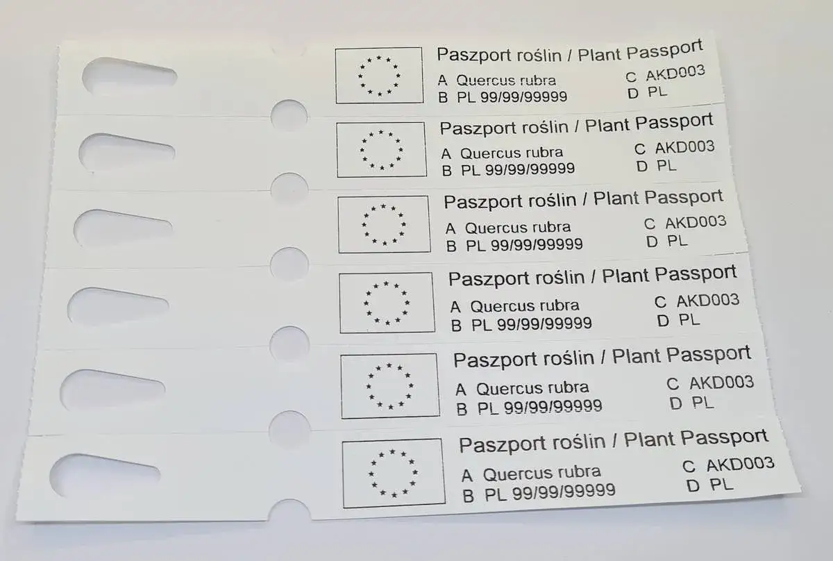 Paszport roślin / Plant Passport dla Quercus rubra. Informacje o pochodzeniu i identyfikatorze. Jak podlewać?