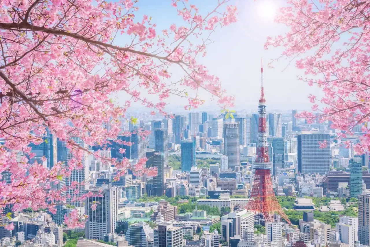 Tokio im Kirschblütenrausch: Die beste Reisezeit für dieses Spektakel ist im Frühling.