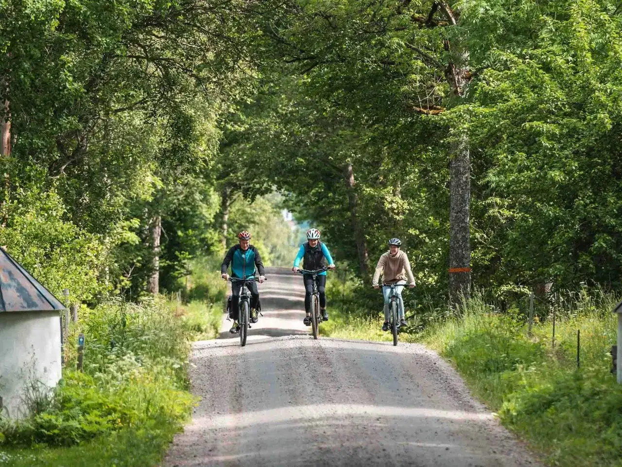 Tre vänner njuter av att cykla i skogen på en grusväg kantad av lummig grönska.