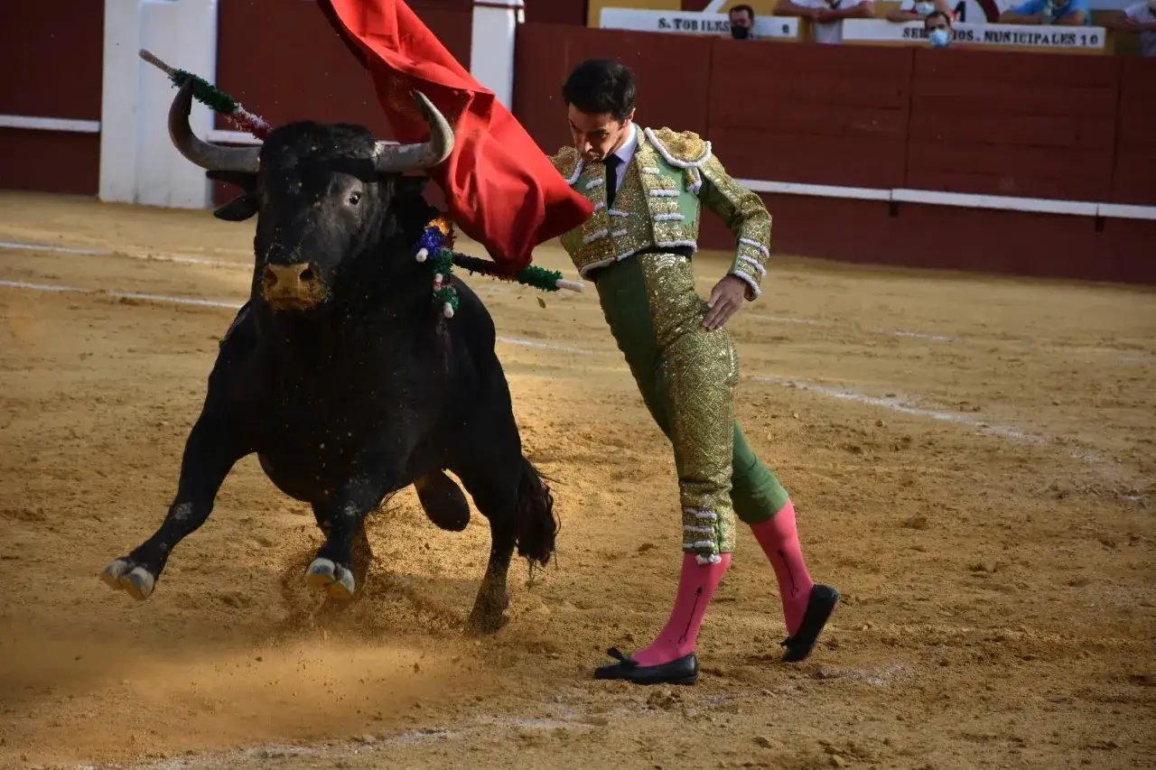 Un torero con traje de luces verdes y doradas se enfrenta a un toro negro en la arena. Las caras de toreros y toros se cruzan en este instante de tensión.
