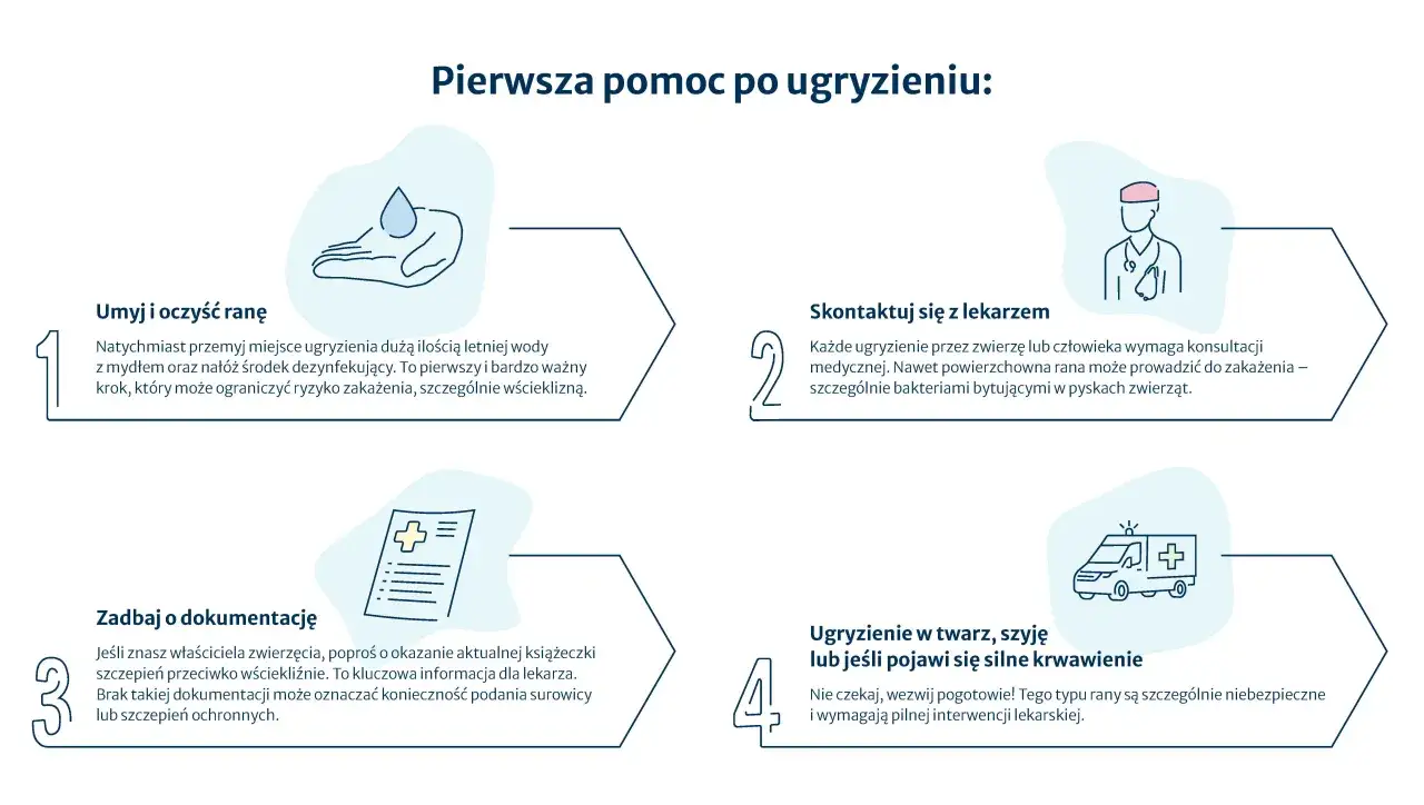 Pierwsza pomoc po ugryzieniu: umyj ranę, skontaktuj się z lekarzem, zadbaj o dokumentację szczepień przeciwko wściekliźnie, wezwij pogotowie w razie silnego krwawienia.