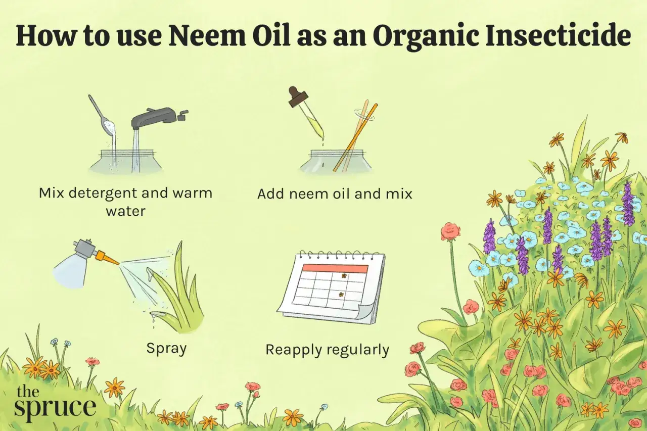 Guida su come usare l'olio di nim come insetticida naturale: mescola, aggiungi olio di nim, spruzza e riapplica regolarmente.