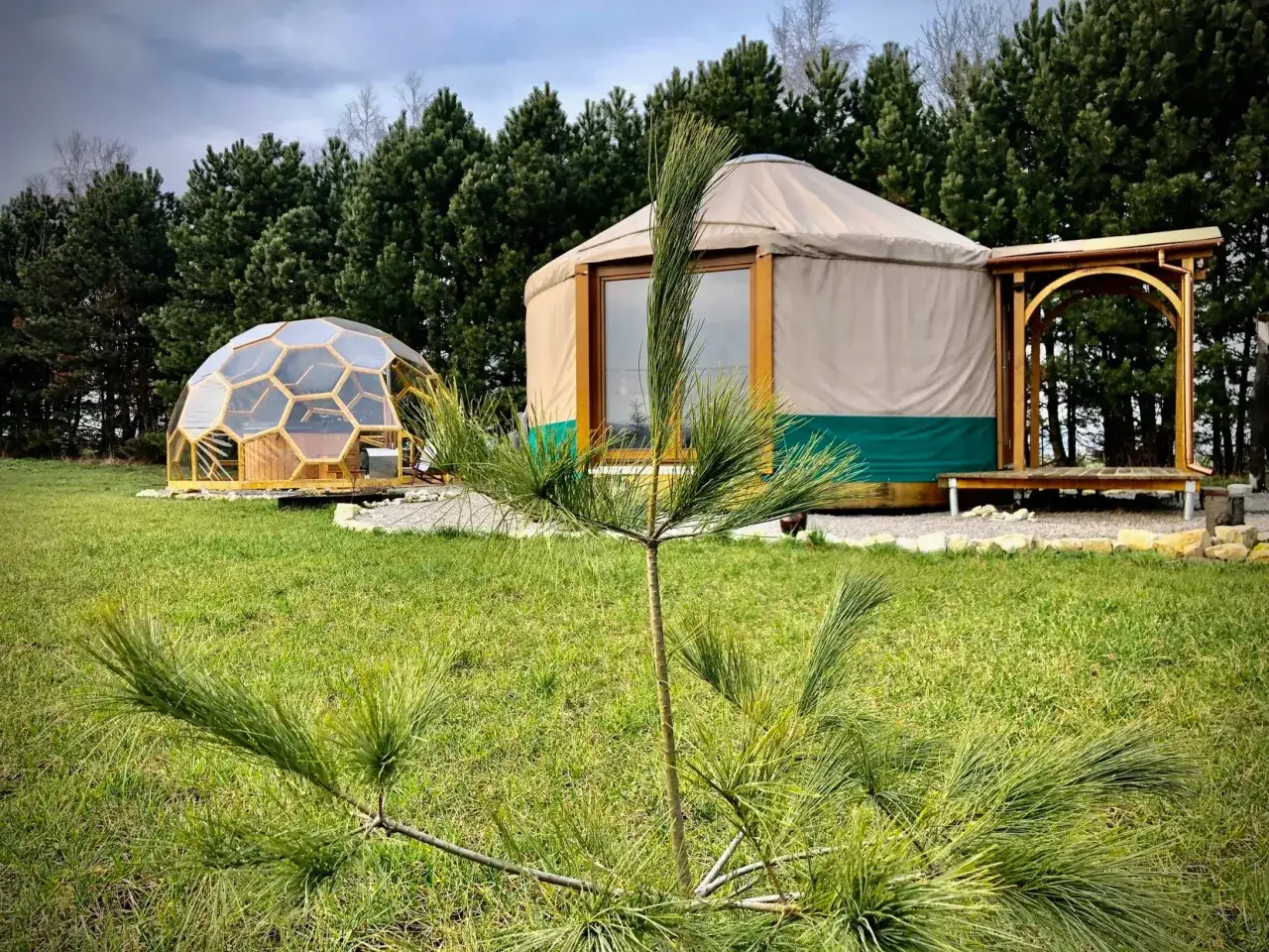 Oto co to jest glamping: jurt i kopuła geodezyjna na zielonej łące, otoczone lasem.
