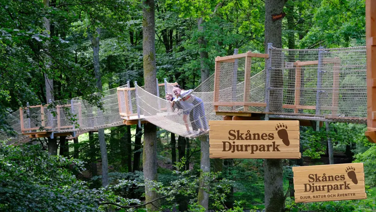 Barnaktivitet Skåne: Tre glada barn balanserar på en repbro i en äventyrsbana bland träden på Skånes Djurpark.