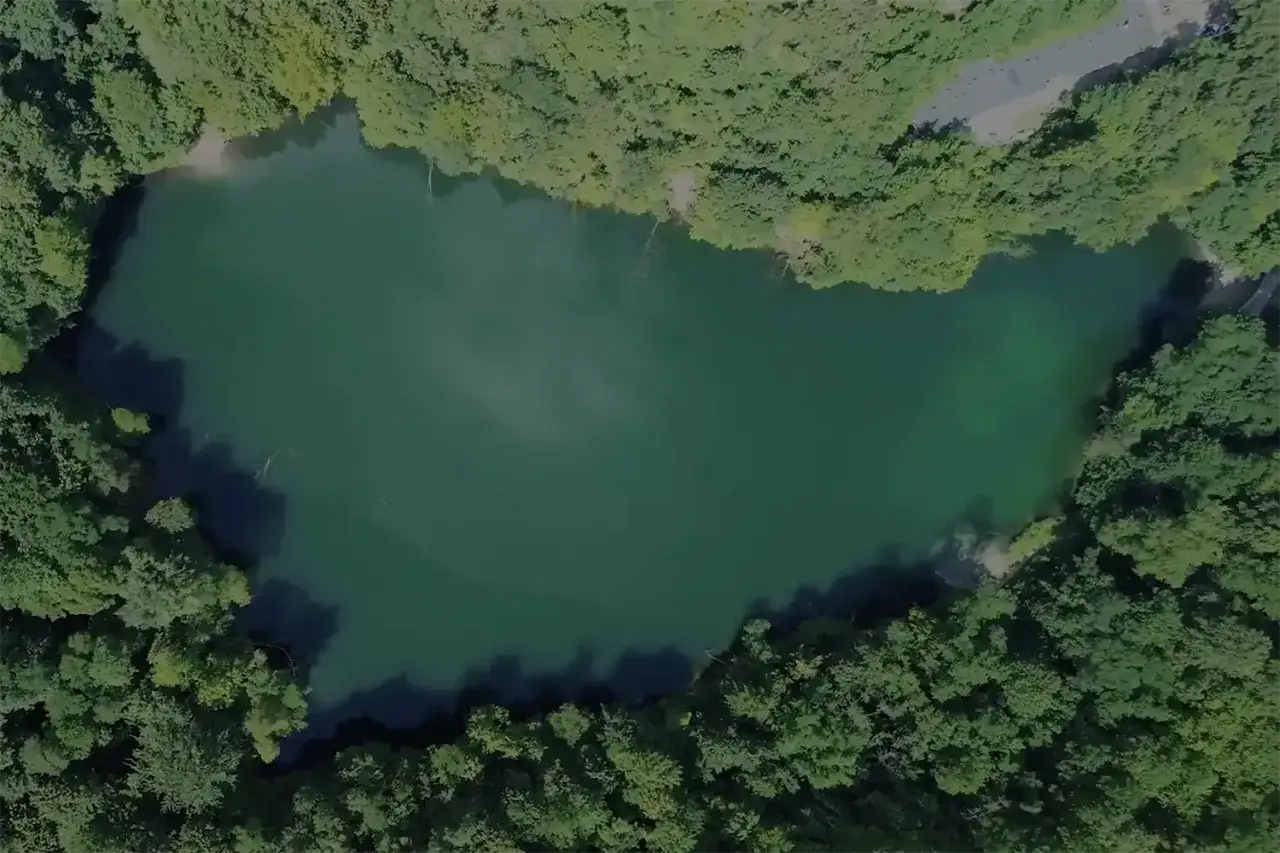 Zielone jezioro otoczone lasem, ukryte wśr&oacute;d zieleni. Czy to jedno z nietypowych atrakcji Szczecina?