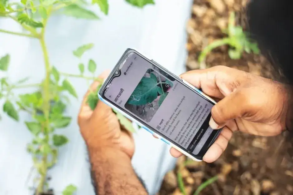 rozpoznawanie chorób roślin aplikacja mobilna
