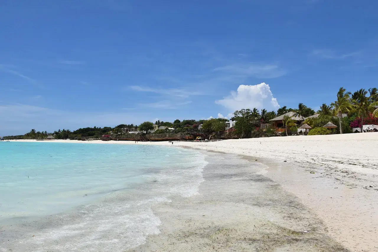 Rajska plaża na Zanzibarze, idealna na wycieczki fakultatywne. Turkusowa woda, biały piasek i palmy.