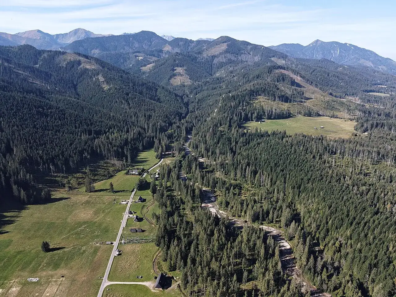 Widok z lotu ptaka na Dolinę Chochołowską. Droga wije się przez gęsty las, a w oddali widać góry.