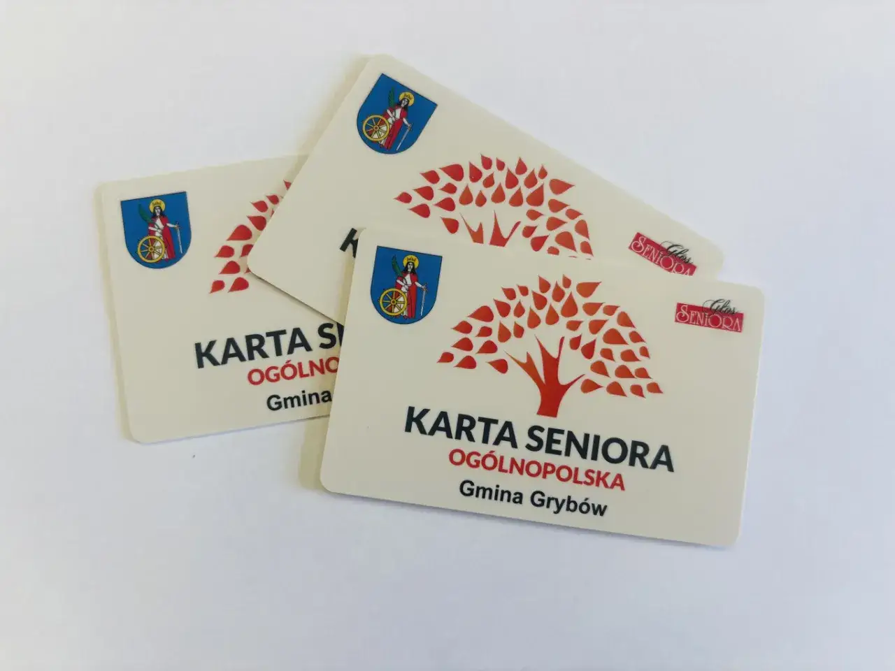 Karta Seniora – jak wyrobić? Na zdjęciu trzy karty z napisem
