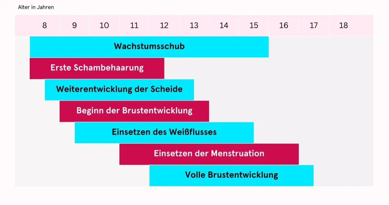 Zeitstrahl für die sexualkunde klasse 8: Wachstumsschub, Schambehaarung, Brustentwicklung und Menstruation zwischen 8 und 18 Jahren.