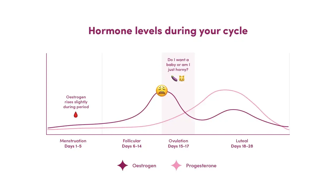 Wykres poziomu hormonów: estrogen i progesteron w cyklu. Estrogen rośnie podczas owulacji, a progesteron w fazie lutealnej.