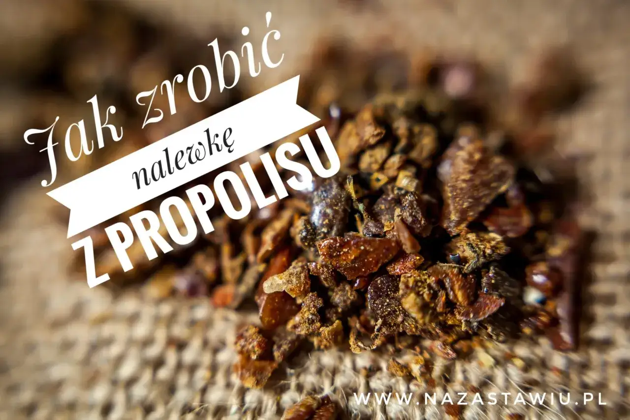 Jak zrobić nalewkę z propolisu? Zbliżenie na surowy kit pszczeli na jutowym tle.
