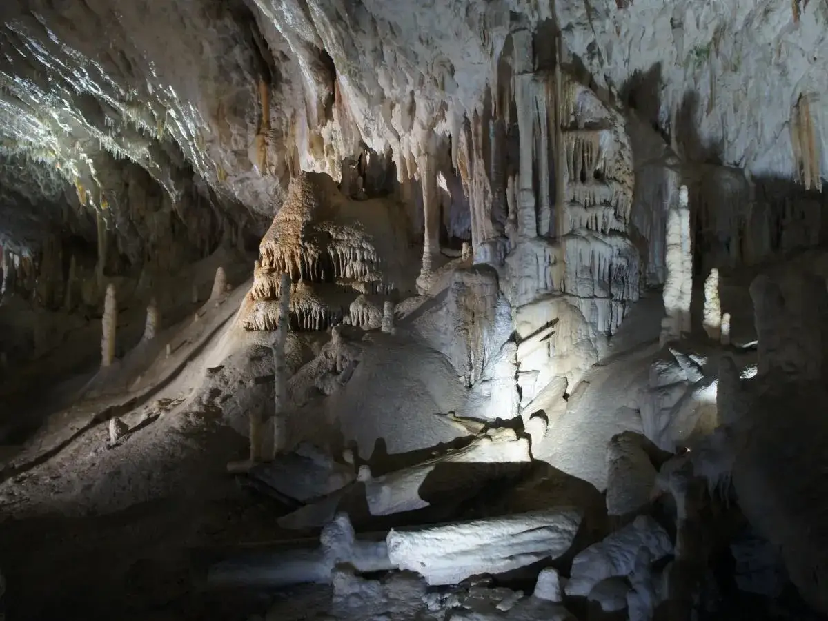 Wspaniała słowenia jaskinia z naciekami skalnymi i stalagmitami.
