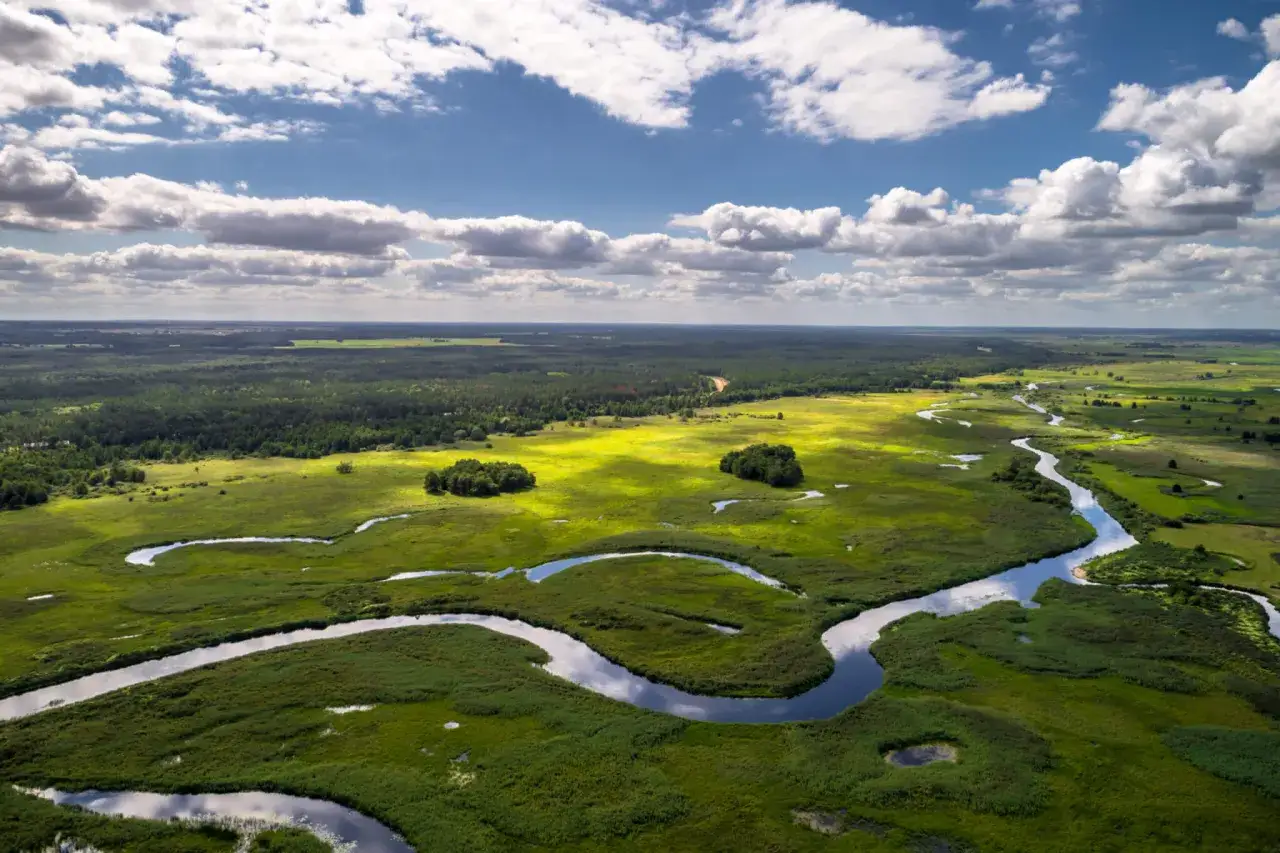 Malownicze meandry rzeki na tle zielonych łąk i lasów. Biebrzański Park Narodowy to skarbnica przyrody, a jego krajobrazy zachwycają. Biebrzański park narodowy ciekawostki.