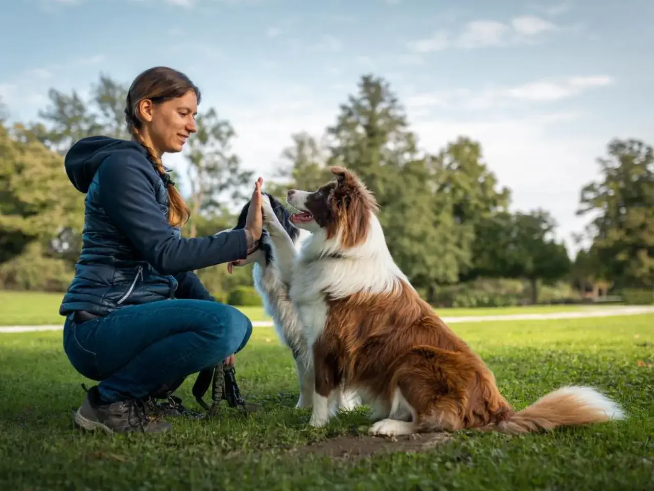 Mujer y perro se dan la mano en el parque. La conexi&oacute;n se construye r&aacute;pido, pero &iquest;cuanto tarda un perro en adaptarse a un nuevo due&ntilde;o?