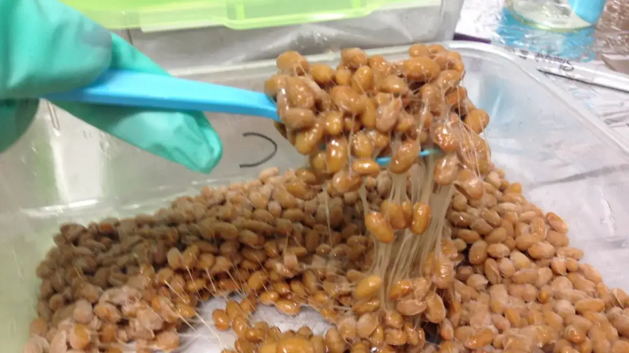 Nattokinase, un enzima derivato dal natto, è noto per i suoi benefici cardiovascolari. Qui si vede il natto appiccicoso, pronto per essere consumato.