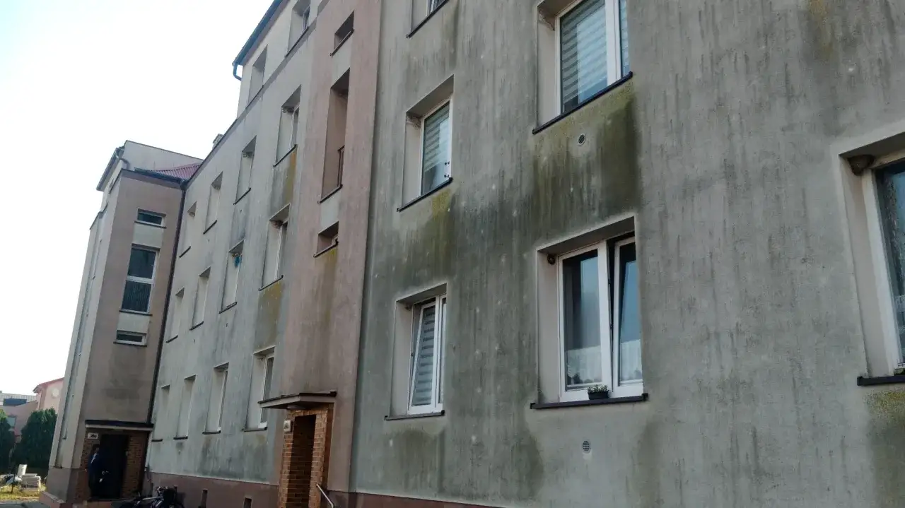 Budynek mieszkalny z widocznymi zaciekami i pleśnią