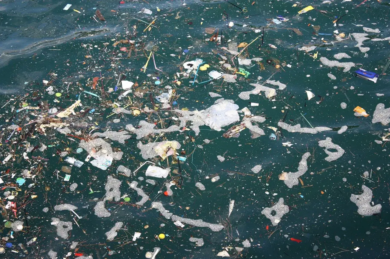 Plastikowe butelki, słomki, opakowania i inne śmieci unoszą się na wodzie, pokazując gł&oacute;wne źr&oacute;dła zanieczyszczeń wody.