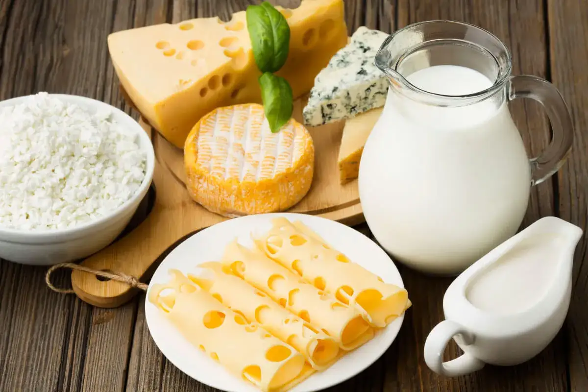 Różnorodne sery, twaróg i mleko – bogactwo produktów, w których naturalnie występuje laktoza.