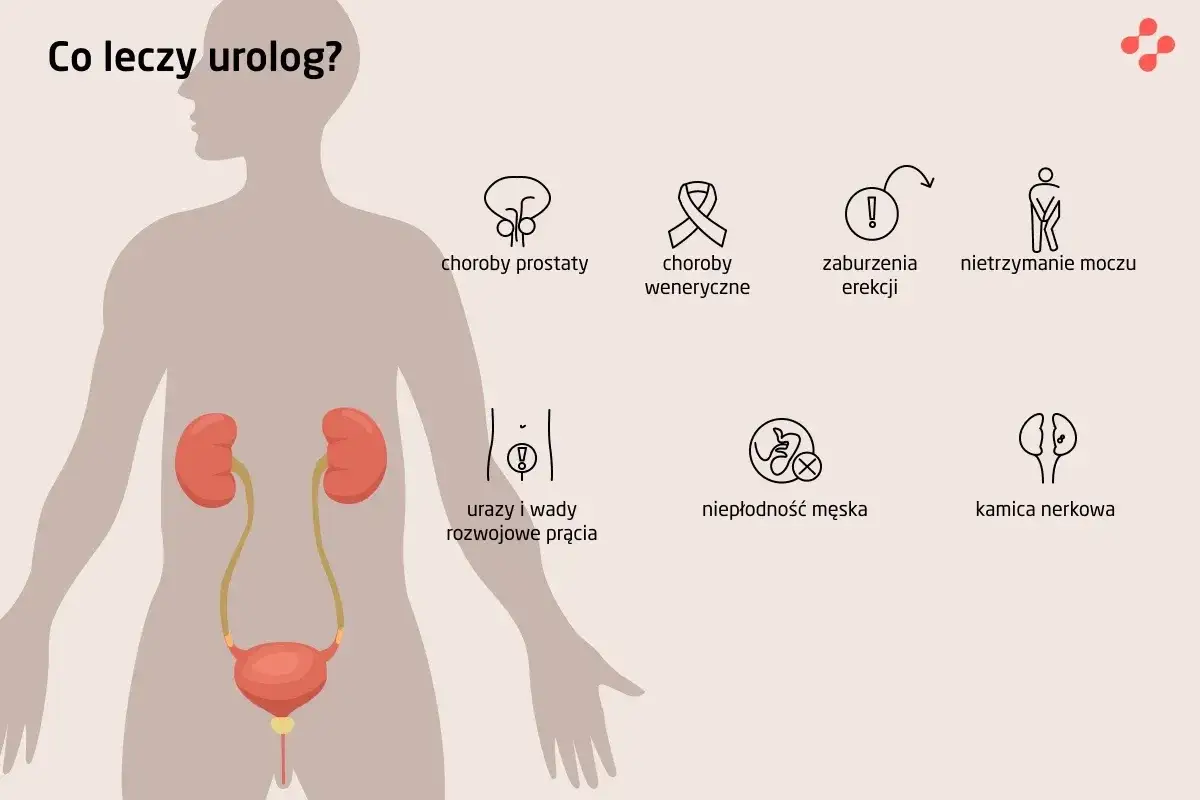 Urologia zakres specjalizacji