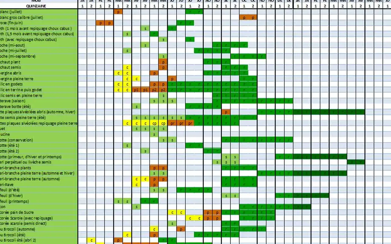 Calendrier des semis et plantations pour une association potager. Planification des cultures de janvier à décembre.