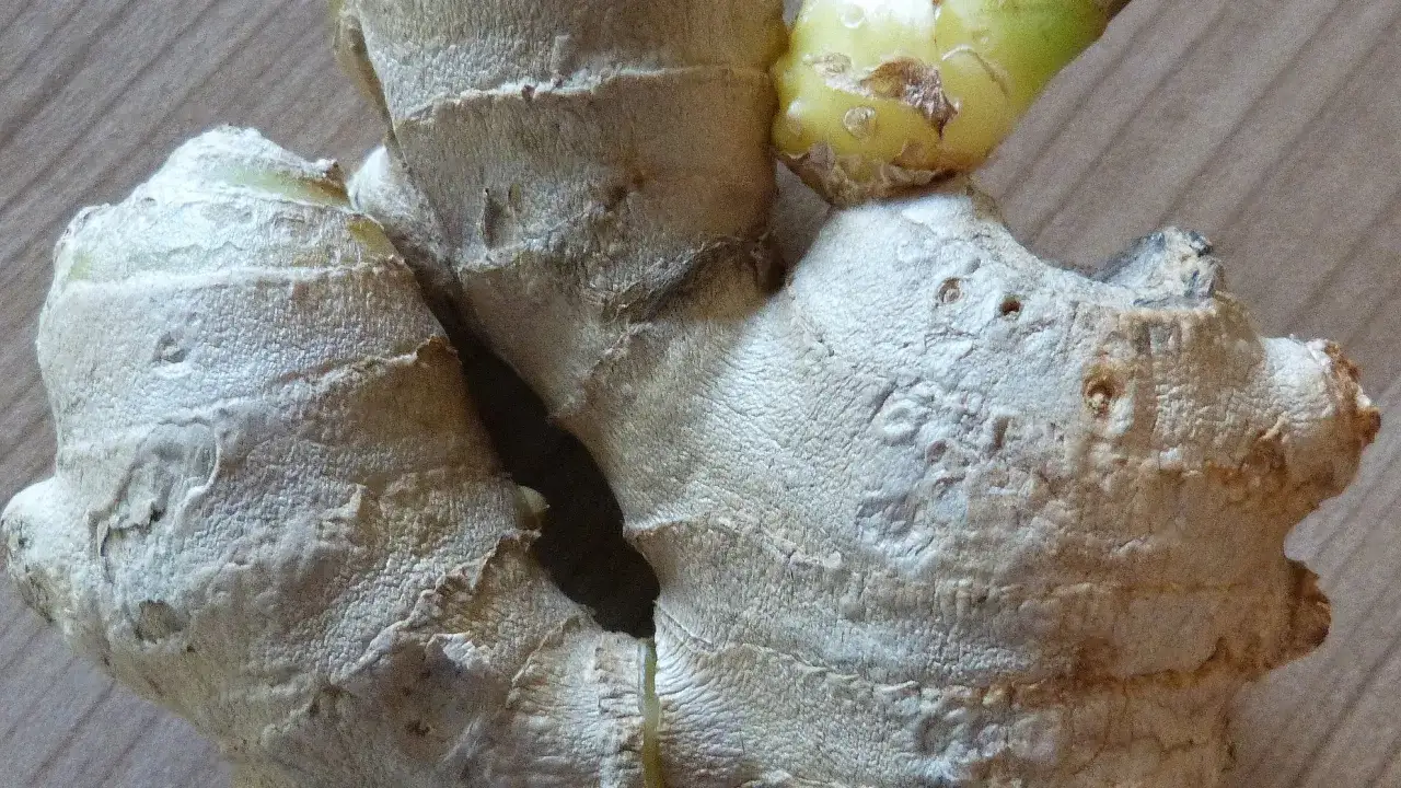 Zdjęcie Jak wyhodować imbir w doniczce - proste kroki, które działają