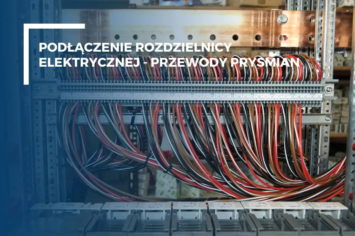 Zdjęcie Jak wybrać odpowiednią skrzynkę elektryczną do domu, aby uniknąć problem&oacute;w?