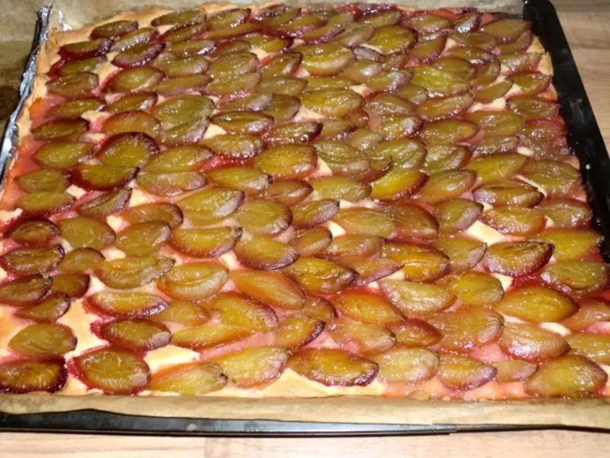 Ein saftiger Zwetschgenkuchen vom Blech, mit vielen süßen Früchten belegt und goldbraun gebacken.