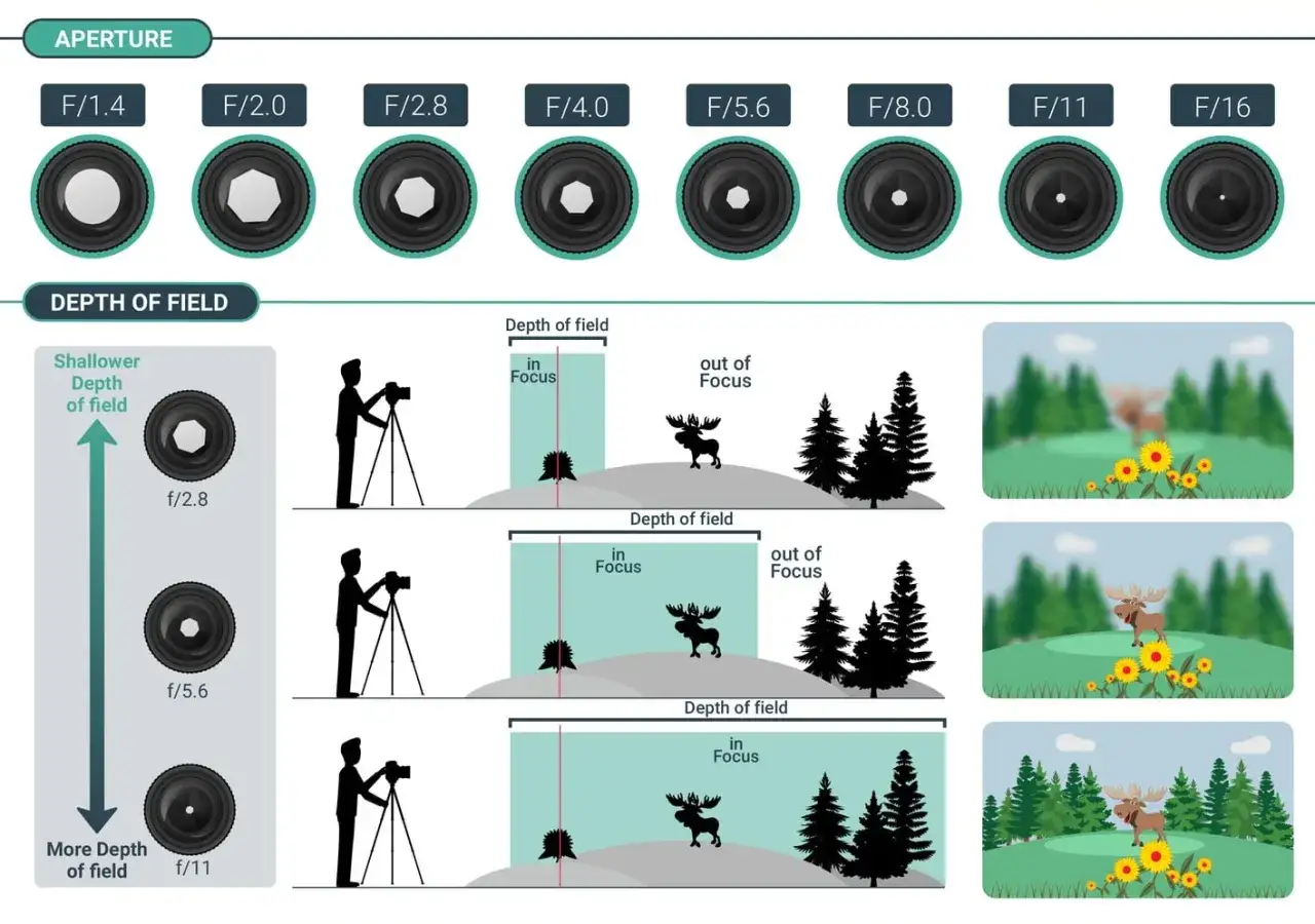 Illustration expliquant la profondeur de champ et l'ouverture d'un objectif photo. La photo optique montre comment différents diaphragmes affectent la mise au point.
