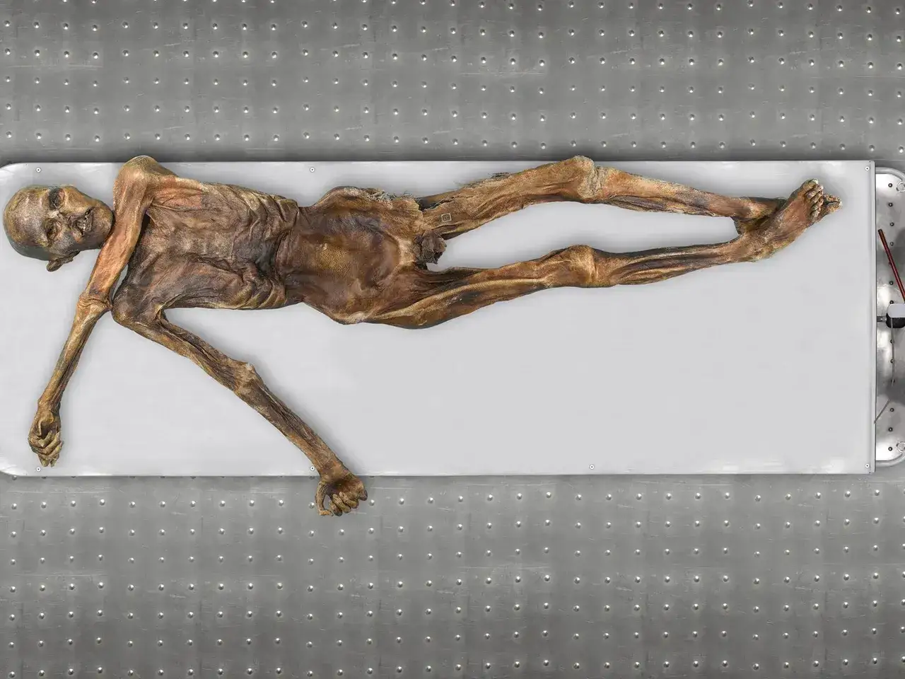 Mumifikowane ciało Ötzi, człowieka z lodu, leżące na białym podłożu.