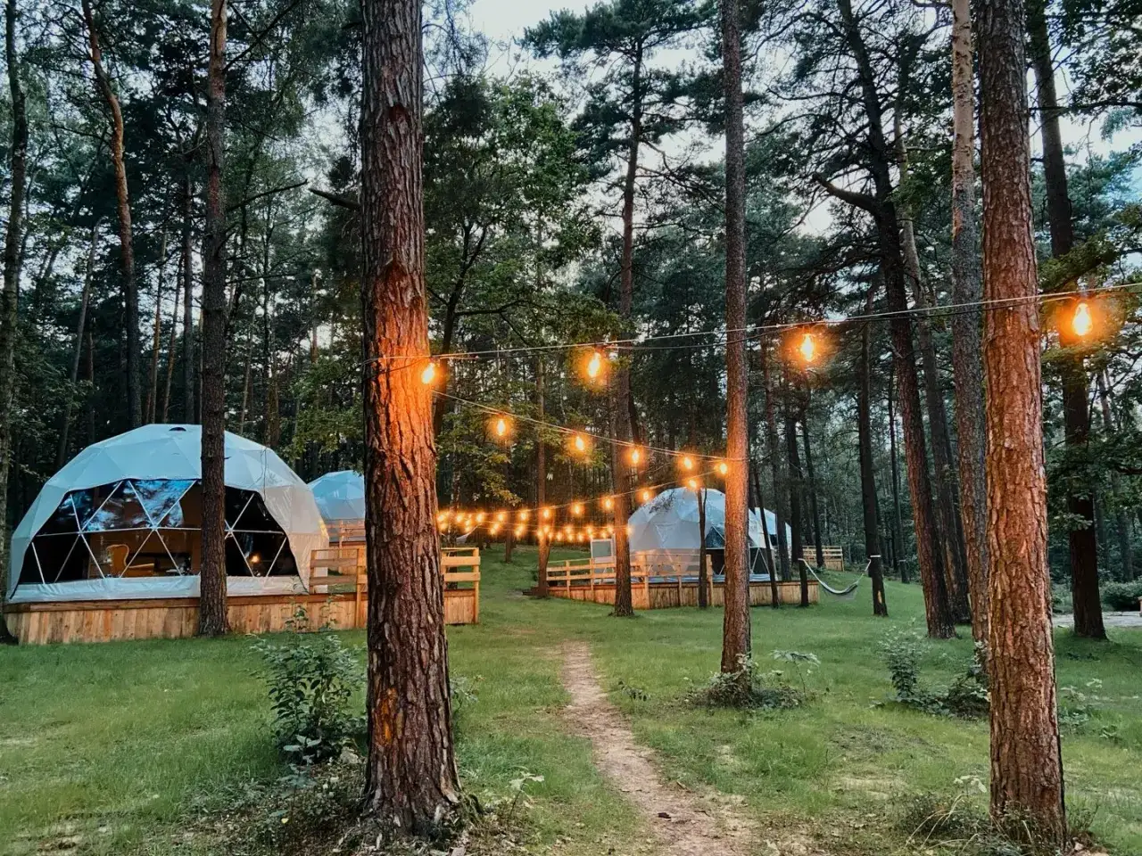 Nastrojowy hotel w lesie z kopułowymi namiotami i girlandami świetlnymi. Idealne miejsce na relaks wśród natury.