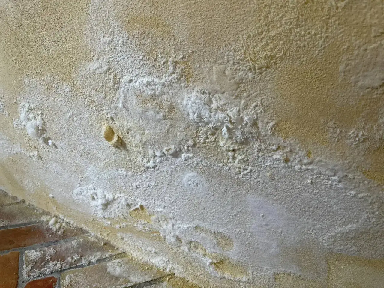 Détails d'un mur jauni et effrité, recouvert de dépôts blancs, signe d'un assainissement maison ancienne nécessaire.