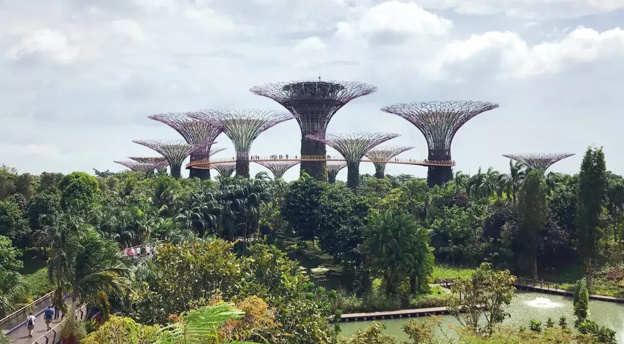 Rekultywacja lądu Singapur