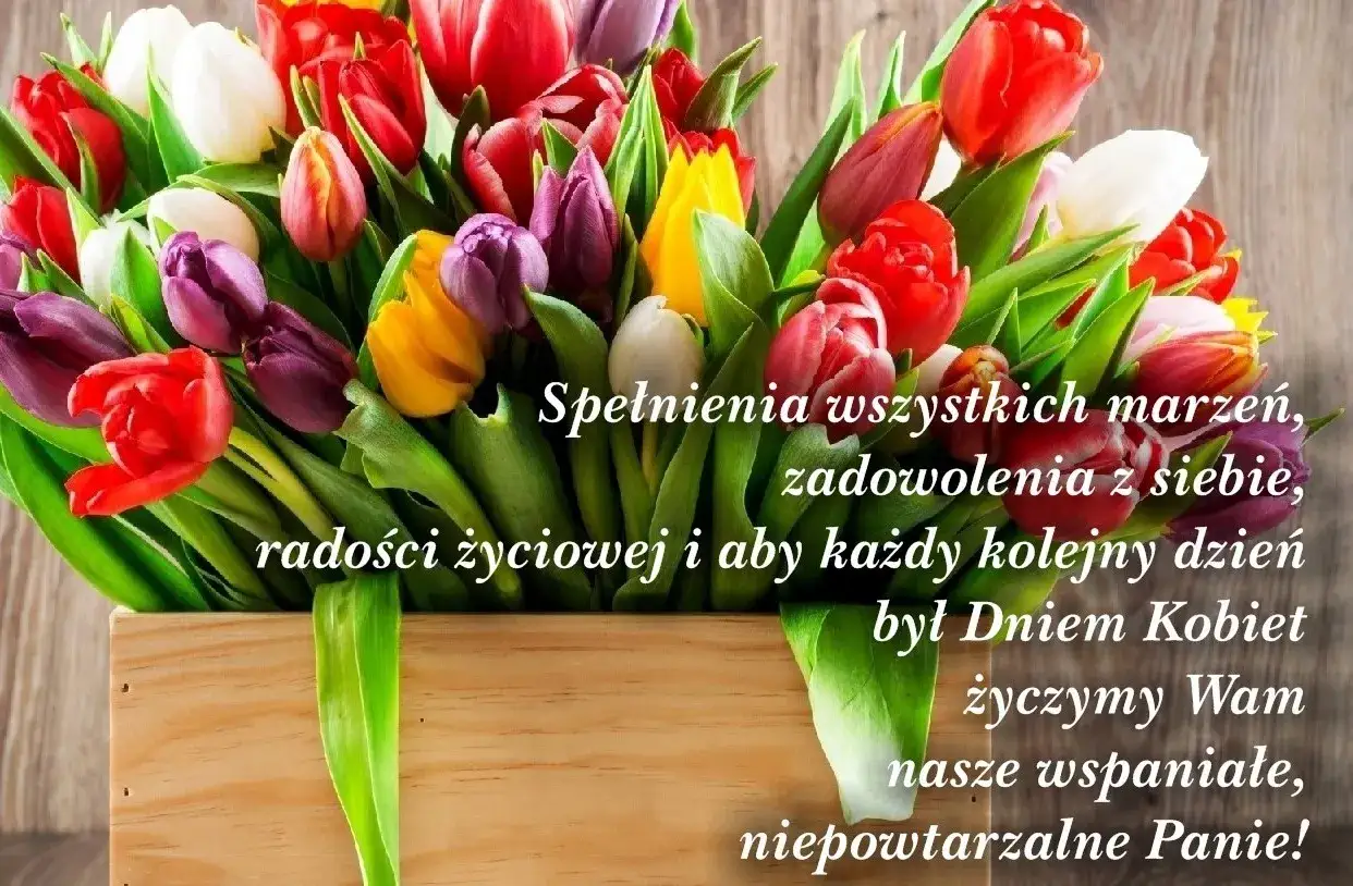 Kolorowy bukiet tulipanów w drewnianej skrzynce. Białe, czerwone, fioletowe i żółte kwiaty. Życzenia na Dzień Kobiet od kobiety dla kobiety: 